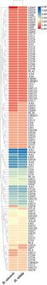 Whole genome sequencing and annotation of Daedaleopsis sinensis, a wood-decaying fungus significantly degrading lignocellulose